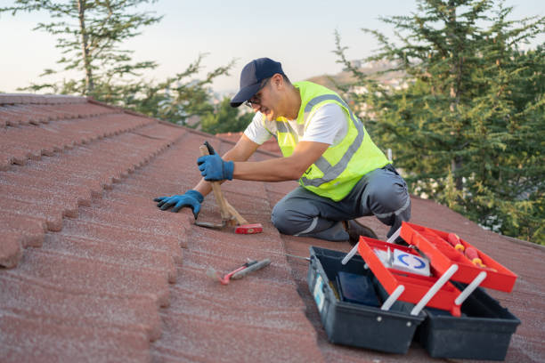 Roof Gutter Cleaning in Pineville, NC