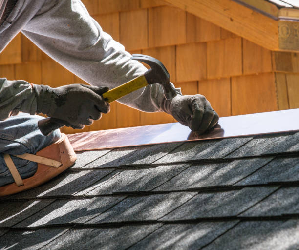 Best Roof Gutter Cleaning  in Pineville, NC